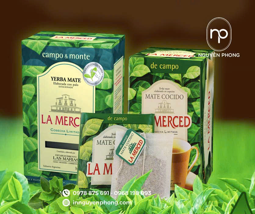 Mẫu in hộp trà túi lọc